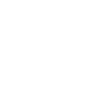 emb-icon-white.webp